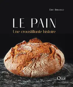 Le pain : Une croustillante histoire - Éric Birlouez