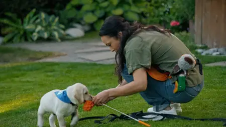 Guiding Emily (2023)