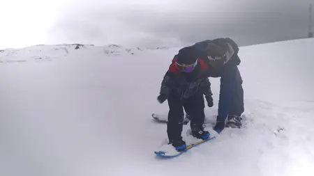The Unknown Life of Antarctica (2019)