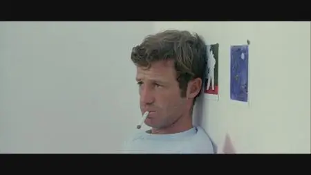 Pierrot le Fou (1965)