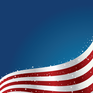 United States Flag Background Vector