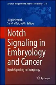 Notch Signaling in Embryology and Cancer