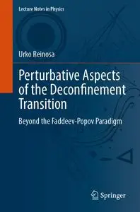 Perturbative Aspects of the Deconfinement Transition: Beyond the Faddeev-Popov Paradigm (Lecture Notes in Physics)