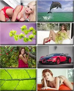 LIFEstyle News MiXture Images. Wallpapers Part (765)