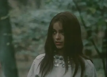 На большой реке / Na velike rece (1978, DVD5 + DVDRip)