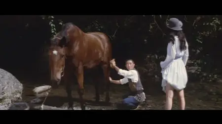 Noble Lady: Bound Vase (1977)