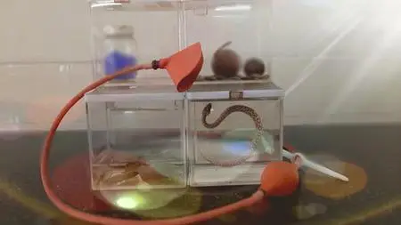 Basic Course In Medical Toxicology