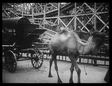 Dada Cinema (1921-1926) [Repost]
