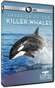 PBS - NATURE: Invasion of the Killer Whales (2014)
