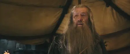 The Hobbit: The Battle of the Five Armies / Хоббит: Битва пяти воинств (2014)