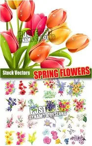 Spring flowers - Stock Vectors