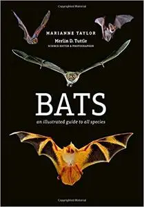 Bats: An illustrated guide to all species