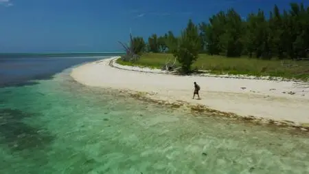 Extinct or Alive S02E04