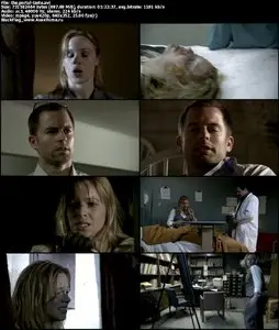 The Portal (2010)
