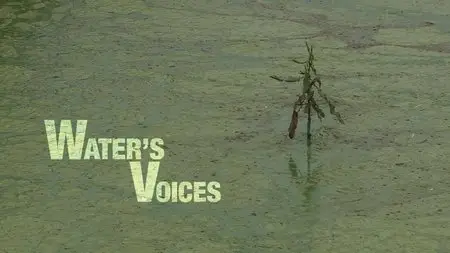 Water Life: Episode 25 - Water's Voices / Mundos de agua / Водная жизнь. Серия 25 - Голоса воды (2008) 