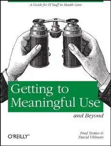 Meaningful Use and Beyond: A Guide for IT Staff in Health Care 