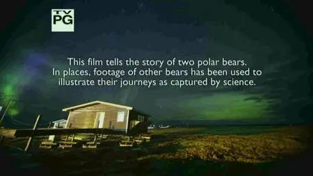 PBS - The Great Polar Bear Feast (2015)