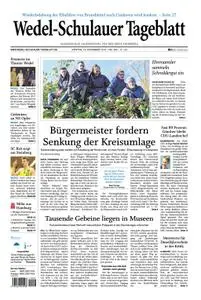 Wedel-Schulauer Tageblatt - 19. November 2018