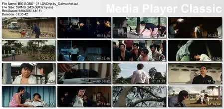 BIG BOSS aka Tang shan da xiong [DVDrip] 1971