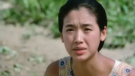 Ge ge de qing ren / Three Summers (1992)