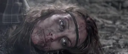 Ironclad 2: Battle for Blood (2014)