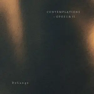 Delange - Contemplations ~ Opus I & II (2022) [Official Digital Download 24/96]