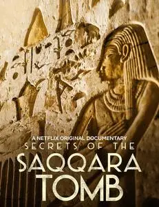 Secrets of The Saqqara Tomb (2020) [MultiAudio]