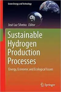 Sustainable Hydrogen Production Processes: Energy, Economic and Ecological Issues