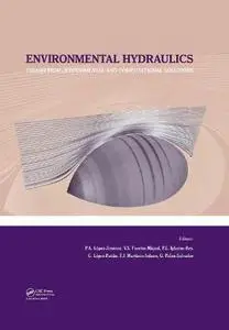 Environmental Hydraulics - Theoretical, Experimental and Computational Solutions: Proceedings of the International Workshop on