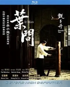 Ip Man (2008)