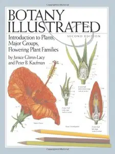 Botany Illustrated: Introduction to Plants, Major Groups, Flowering Plant Families, Second Edition by Peter B. Kaufman
