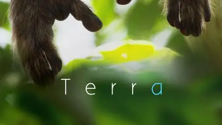 Terra (2015)