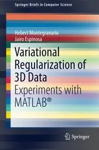 Variational Regularization of 3D Data: Experiments with MATLAB