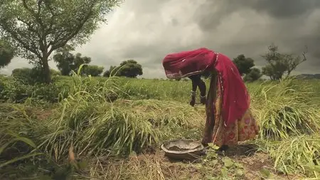 A Thristy World / La soif du monde (2012)
