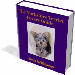 Yorkshire Terrier Lovers Guide set