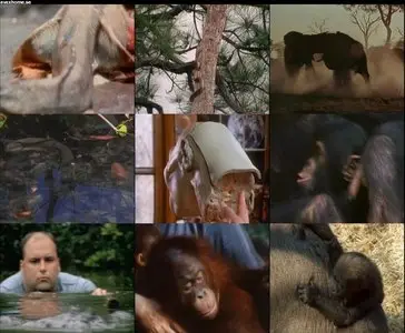 30 Years of National Geographic