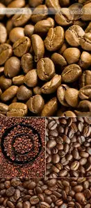 DT Coffee