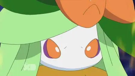 Pokémon S21E11