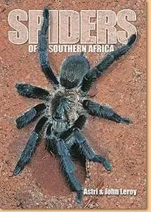 Spiders of Southern Africa
