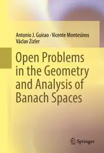 Open Problems in the Geometry and Analysis of Banach Spaces (Repost)