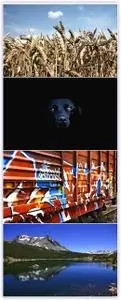 Exclusive Widescreen Pack