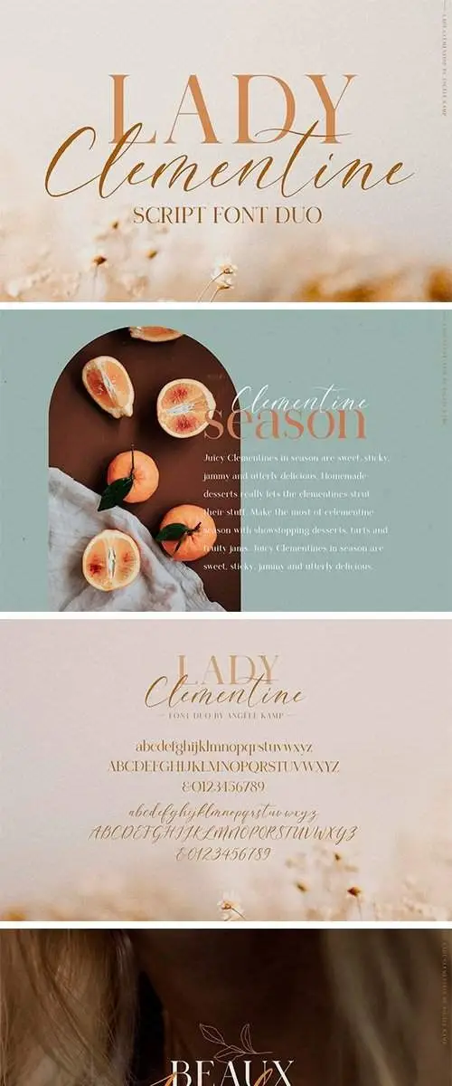 Lady Clementine Script Font Serif