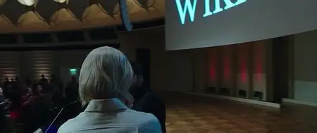 The Fifth Estate (2013)