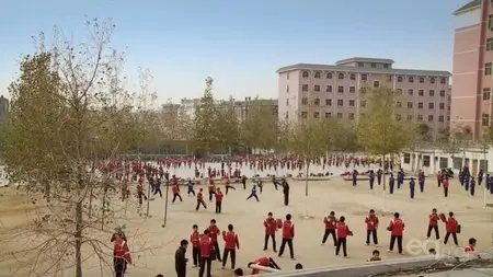 Path To Shaolin (2009)