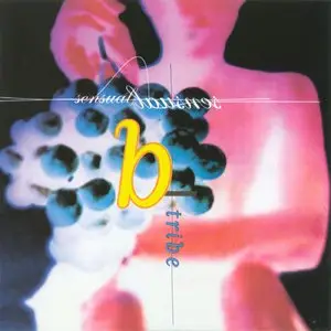 B-Tribe Discography (1994-2008, 7 albums)