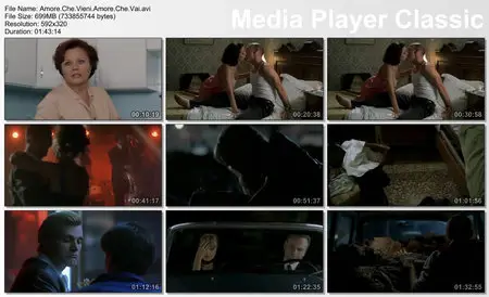 Amore che vieni, amore che vai (2008)