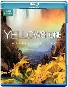 Yellowstone Battle For Life (2009)