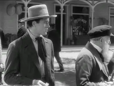 The Farmer Takes a Wife (1935)