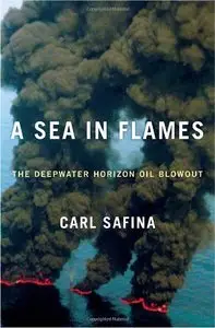 A Sea in Flames: The Deepwater Horizon Oil Blowout (Repost)