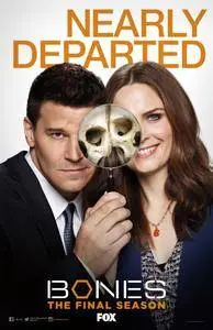 Bones S12 (2017)